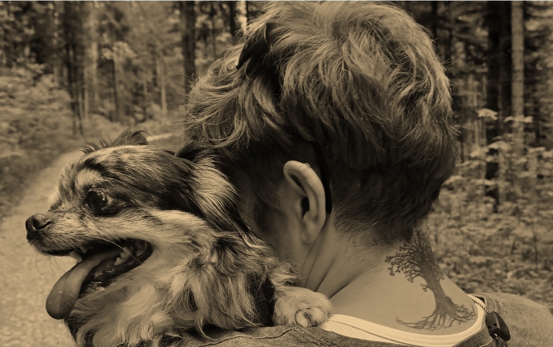 Moment de douceur entre une personne et un chien